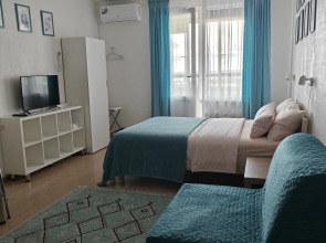 Студия Flamingo метро Ладожская