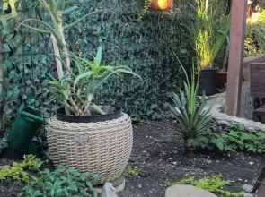 Гостевой Дом Синди