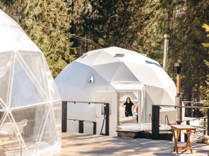 Шале Елки на горке 1