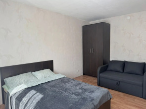 Жилое помещение Квартира на Гагарина 17