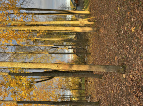 Гостевой Дом Дом-Театр