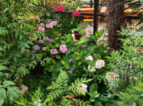 Гостевой дом Морская сказка