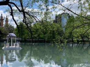 Апартаменты Фьюжн в центре Владикавказа