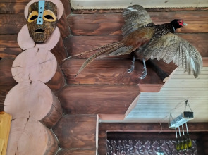 Гостевой дом Мышкин двор Барабановъ