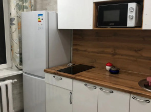 Квартира в Центре на Гудина