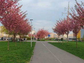 Квартира на Сельме