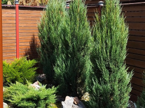 Гостевой дом Территория Комфорта