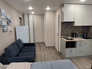 Апартаменты СВ Швейников студия 1