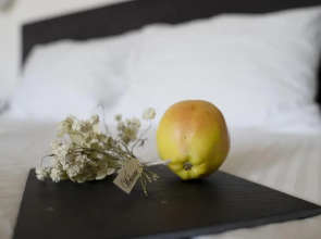 Концепт-отель by COAF