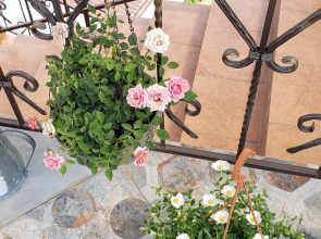 Гостевой дом В гостях у Джулии