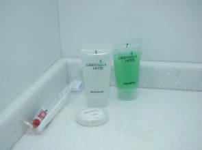 Отель Green Which