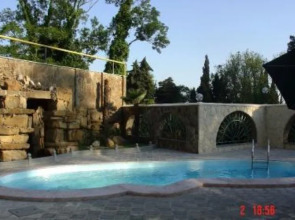 Золотая Пальма