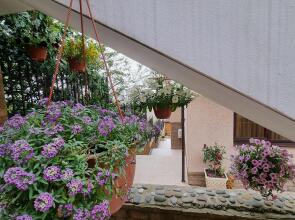 Гостевой Дом Райский Уголок