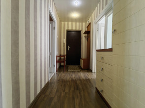 Апартаменты трехкомнатные  у Елены