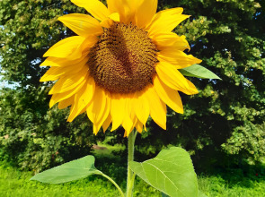 Гостевой дом в деревне Чернокуново