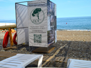 Санаторий Лес