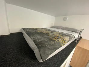 Апартаменты Нижний Ораниенбаум (302)