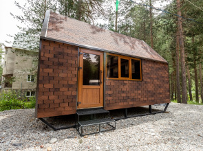 Отель Крокус