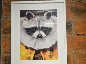 Апартаменты Aura