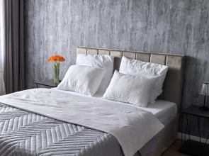 Апартаменты 2-х комнатные с видом на планету Земля