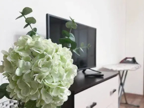 Апартаменты Park Inn Hause 1