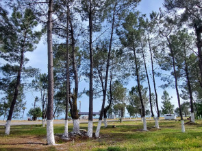 Курортный отель Сосновый Бор