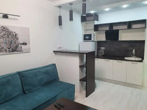 Апартаменты на Пархоменко 2  (305)