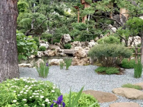 Парк-отель Пихтовый Бор