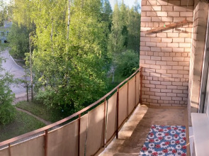 Апартаменты в центре Пушкиногорья