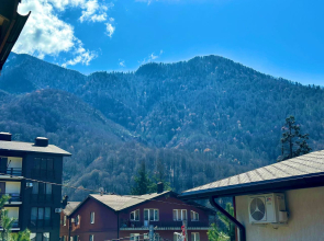 Апартаменты Дизайнерская квартира в Красной Поляне