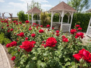 Мини-отель Ай-Петри