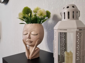 Апартаменты Завидово. Свежий воздух