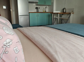 Студия Flamingo метро Ладожская