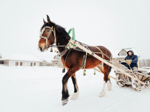 База отдыха Агротуристический комплекс Эль Ранчо