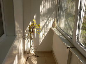 Квартира Квартирка  у Полоцкой