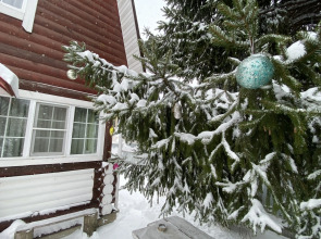 Частный дом на Волге