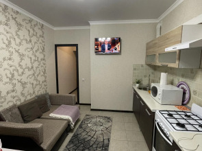 Двухкомнатные Апартаменты Люкс  на 9 человек в курортной зоне Ессентуков