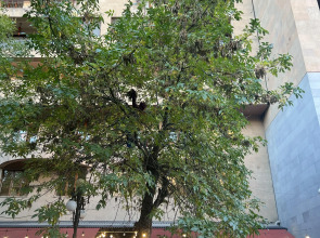 Апартаменты Студия с раздельными кроватями от Sweet Home