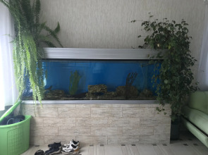 Гостевой дом Камчатдар