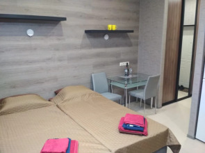 Квартира студия ТиМ