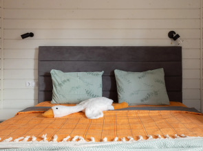 Частный дом КП Сосновские горки ElizaHome Дом Б