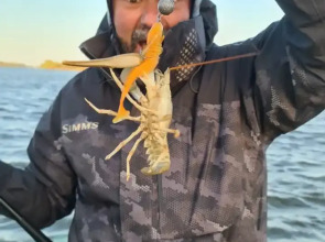 База отдыха Замок