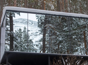 Evolution Guest House