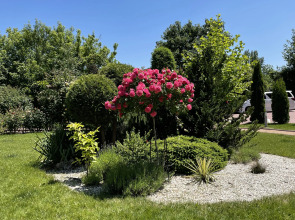 Квартира ЖК Грин Парк - квартира 305