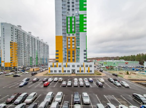 Апартаменты на проспекте Московском 209