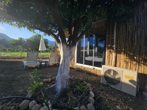 Мини-отель Orange beach camp caravan club