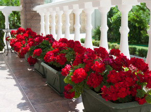 Отель Ольга