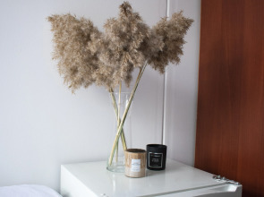 Хостел Петя и Волк