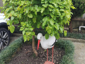 Гостевой дом Есения