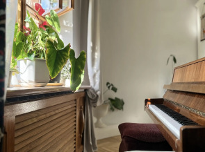 Дом у Китайской беседки